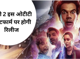 Stree 2 OTT Release Date