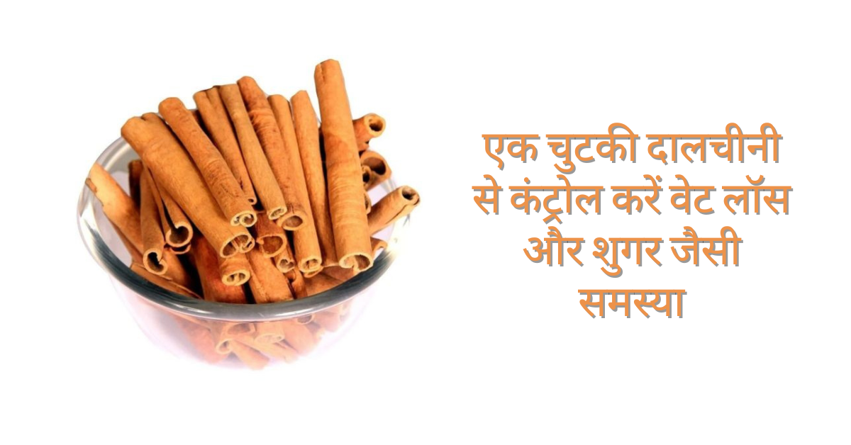 Dalchini Ke Fayde : एक चुटकी दालचीनी से कंट्रोल करें वेट लॉस और शुगर जैसी समस्या, जानिए कैसे करें इस्तेमाल