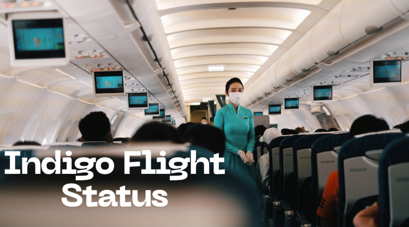Indigo Flight Status