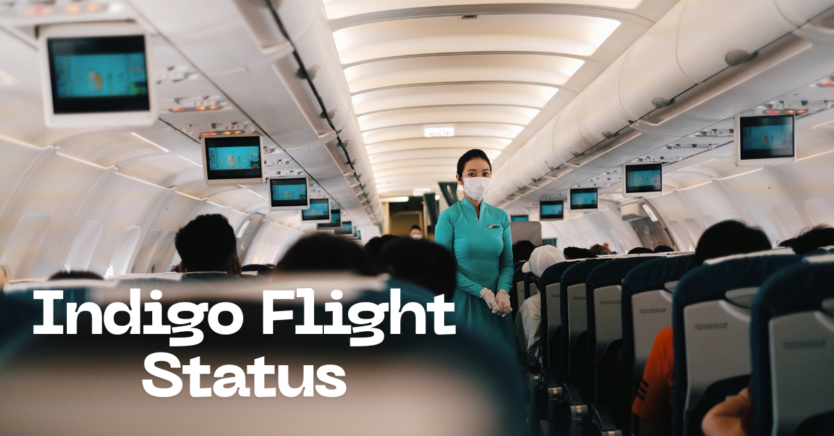 Indigo Flight Status चेक करने का सबसे आसान तरीका, केवल 2 मिनट में चेक करें स्टेटस